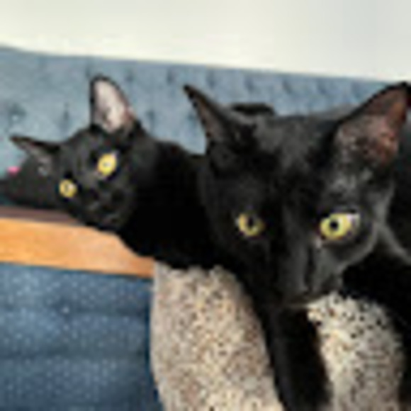 Meet your Posher, Natallama - Picture 1 of 1